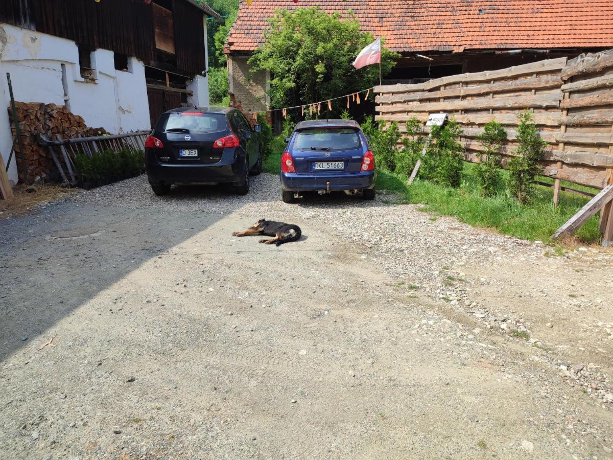 Vila Magnoliowy Zakatek Idzikow Exteriér fotografie